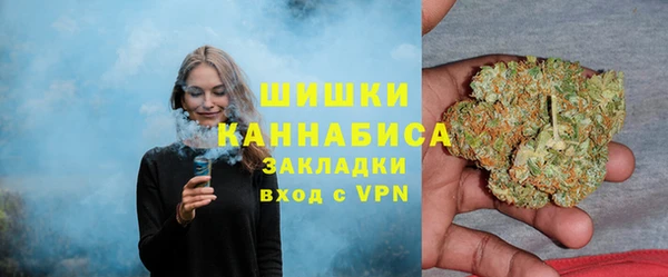 PSILOCYBIN Алзамай