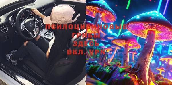 PSILOCYBIN Алзамай