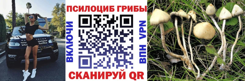 hydra ссылки  Лагань  мориарти состав  Галлюциногенные грибы ЛСД 